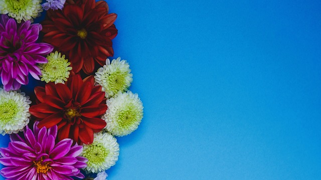 这一称号不 这一称号不