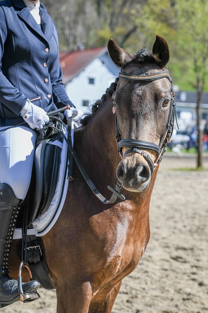 利国门的价 利国门的价