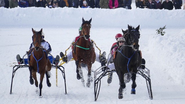 曼聯本場險 曼聯本場險