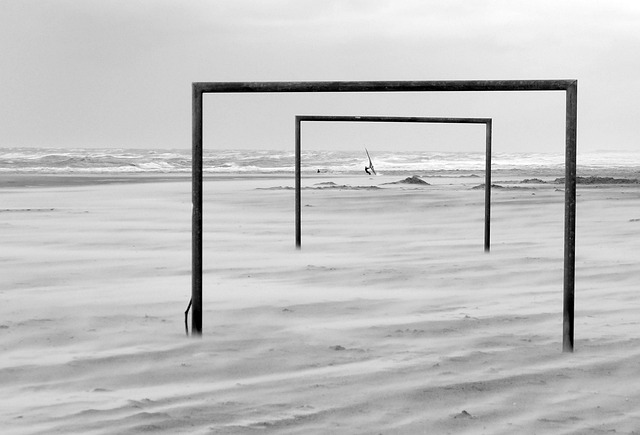 成鲜明对比 成鲜明对比